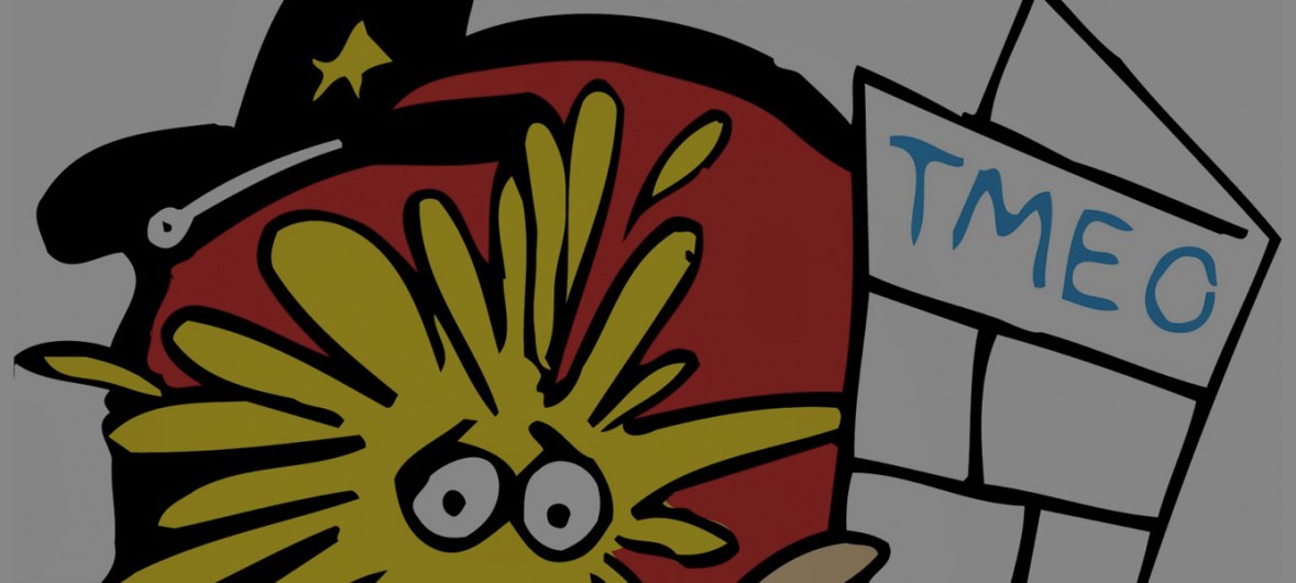 revista-tmeo-apertura