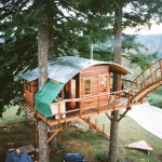 tiny-treehouse-stake-park-2