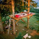 tiny-treehouse-stake-park-6