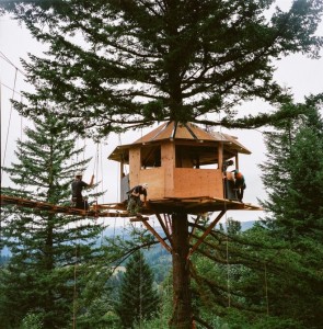 tiny-treehouse-stake-park-9
