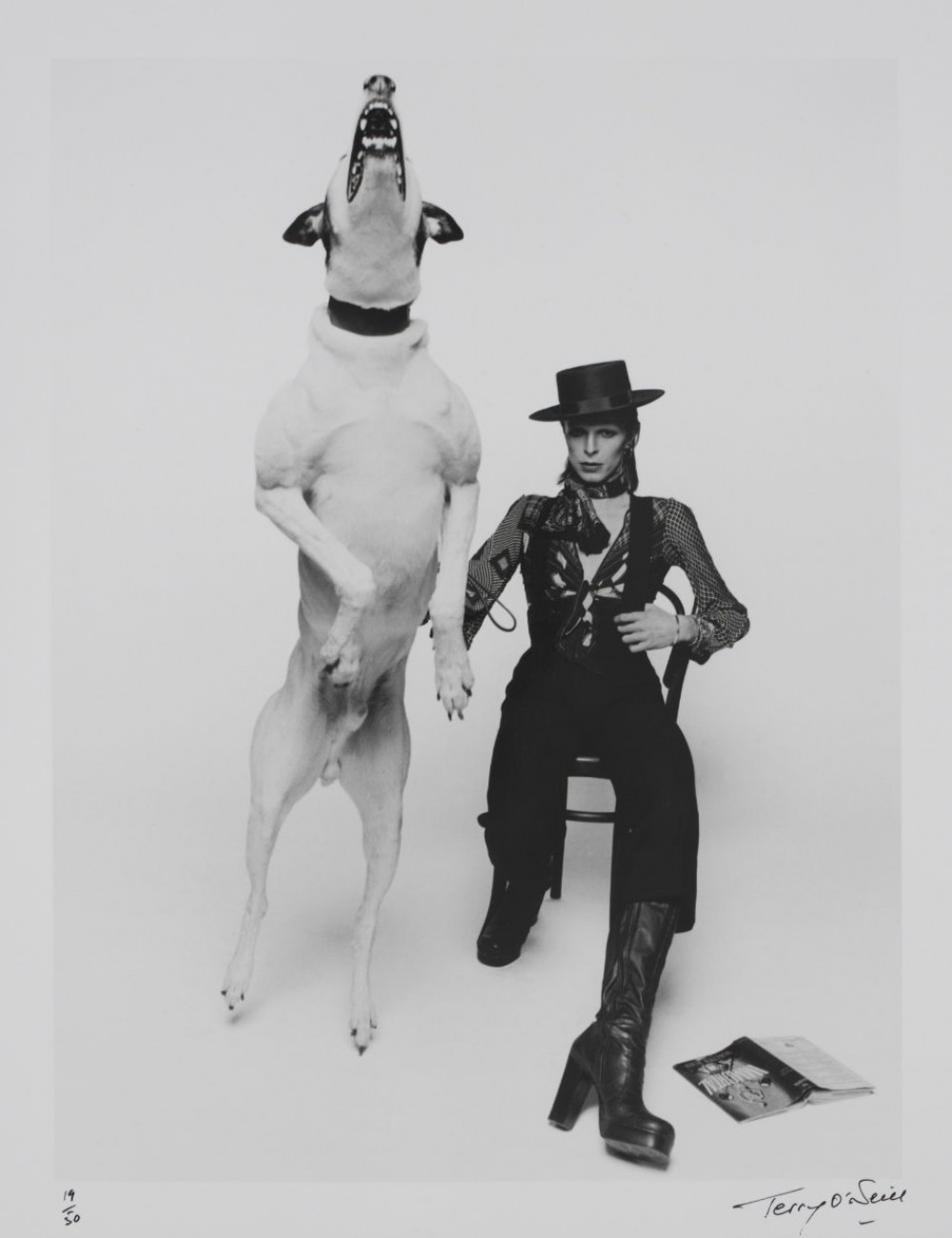 Fotografía promocional de Bowie para ‘Diamond Dogs,’ 1974 – Terry O’Neill
