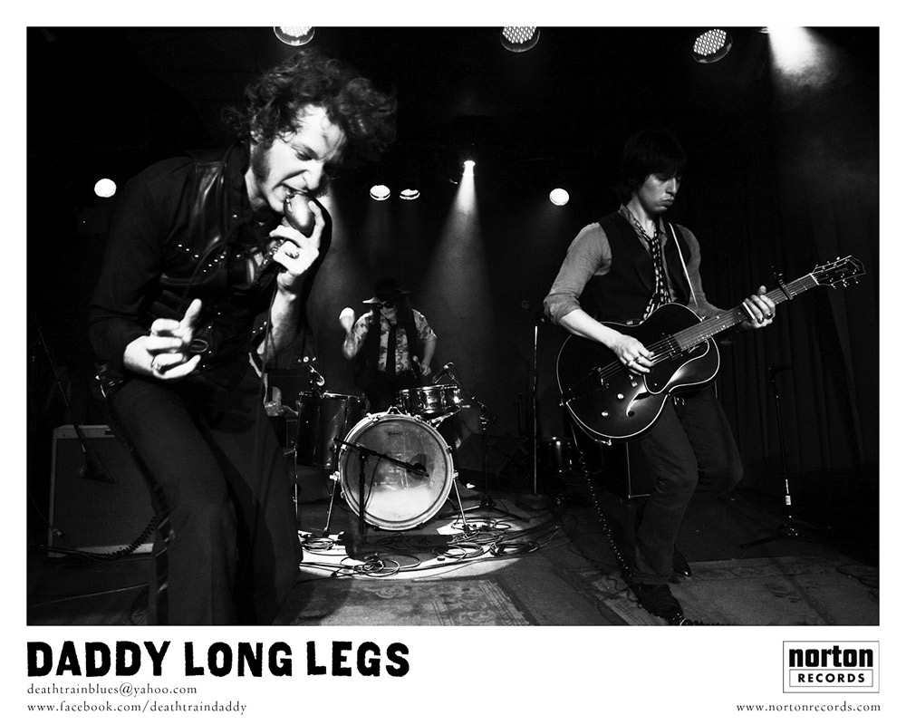 daddy-long-legs
