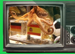 ases-mundial-pulpo-paul