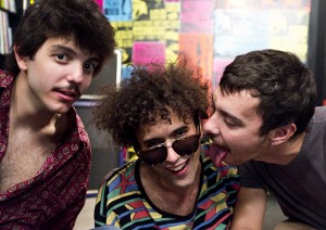 revista-don-felipe-hernandez-parrots.jpg