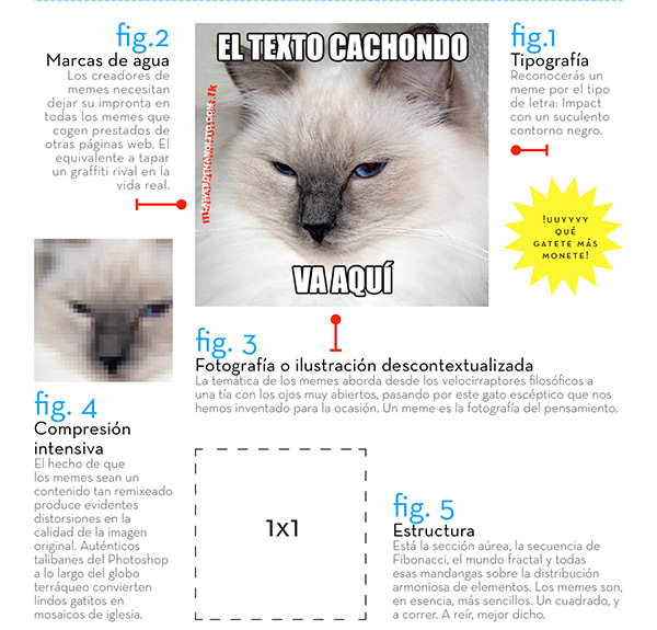 anatomia-meme