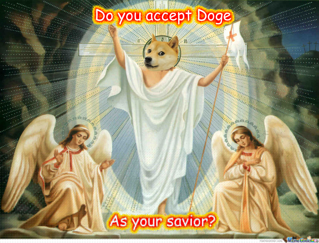doge copia