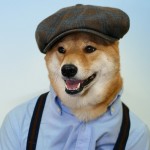 menswear-dog-01