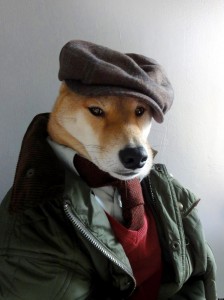 menswear-dog-02