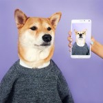 menswear-dog-03