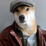 menswear-dog-04