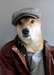 menswear-dog-04