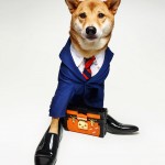 menswear-dog-05
