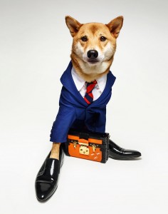 menswear-dog-05