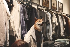 menswear-dog-06