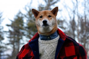 menswear-dog-08