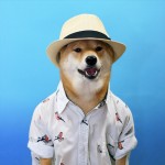 menswear-dog-09