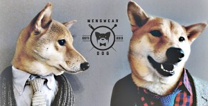 menswear-dog-promo-noticia