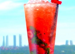 mojitoparaweb2