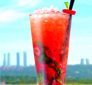 mojitoparaweb2