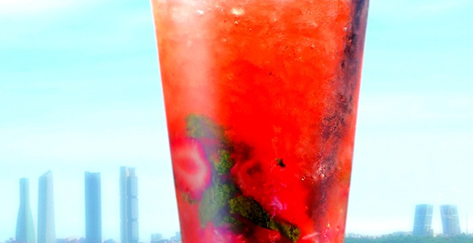 mojitoparaweb2