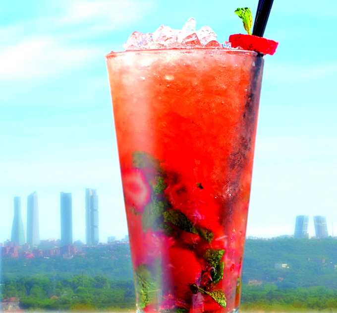 mojitoparaweb2
