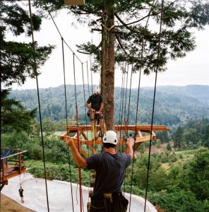 tiny-treehouse-stake-park-10