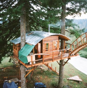tiny-treehouse-stake-park-2