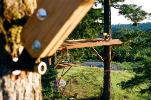 tiny-treehouse-stake-park-7