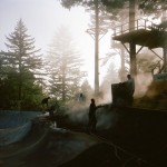 tiny-treehouse-stake-park-8