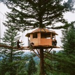 tiny-treehouse-stake-park-9