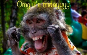 43658-Omg-Its-Friday