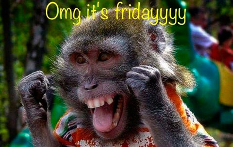 43658-Omg-Its-Friday