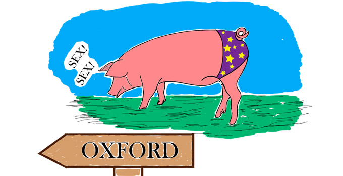 cameron-cerdo-revista-don-perraca-abisal