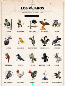Aviario-Revista-Don-21