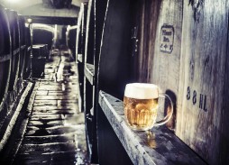 Pilsner-Urquell-ámbar