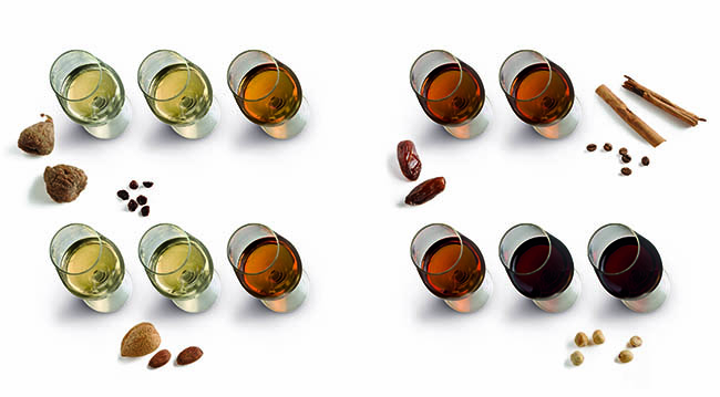 amontillado