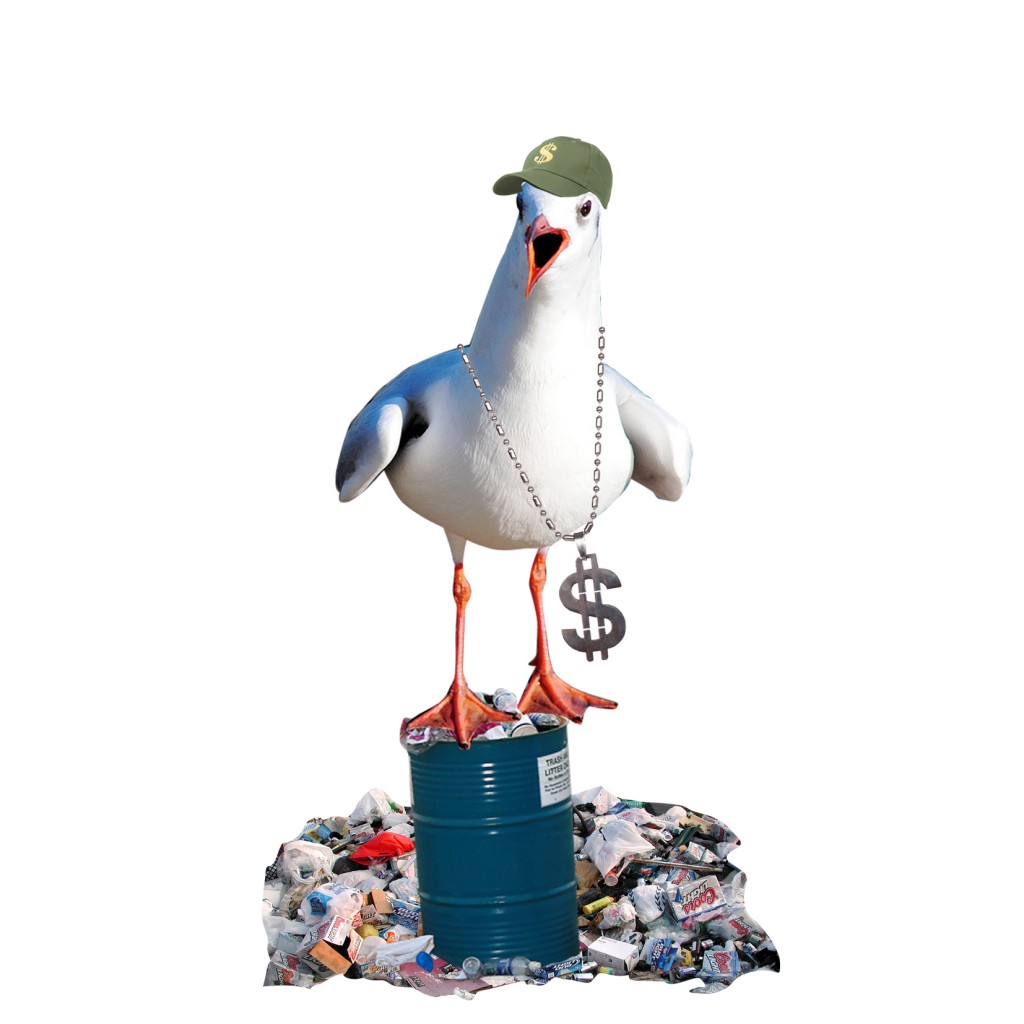 gaviota