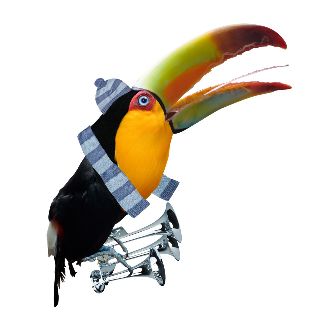 tucan