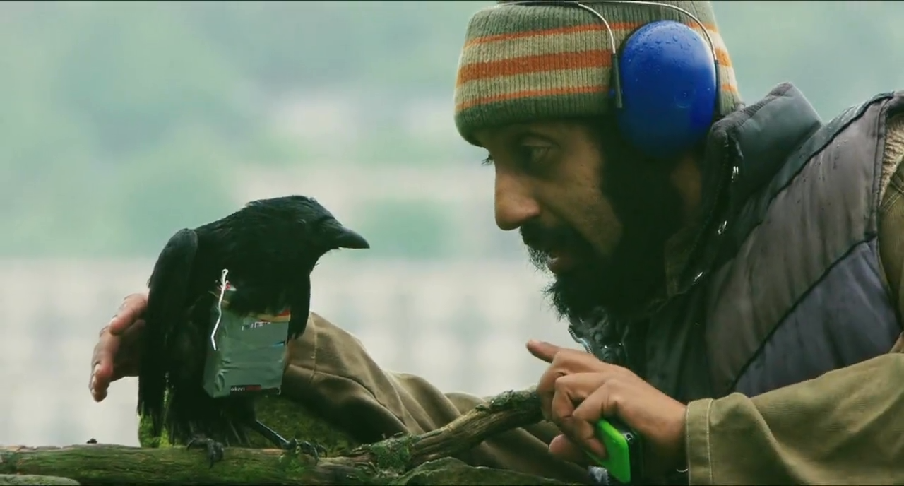 Four Lions