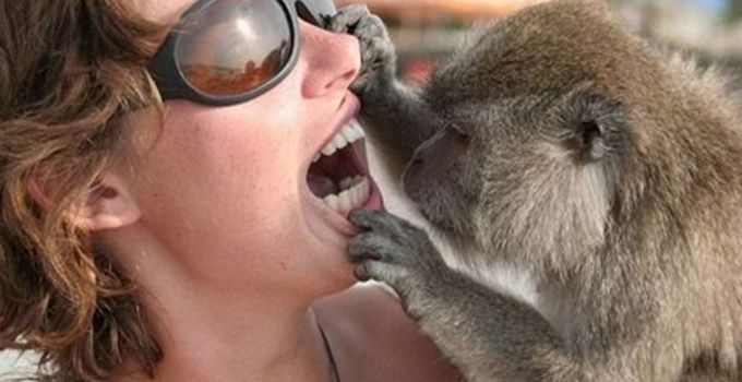 dientes-mono