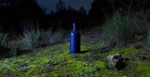 absolut-icon-botella