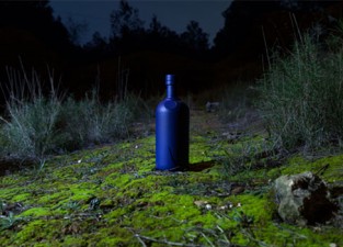 absolut-icon-botella