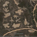 doñana