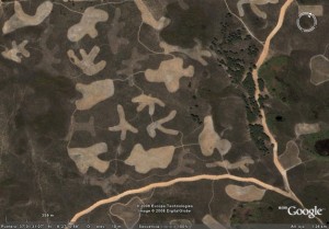 doñana
