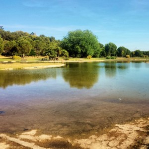 ruta-madrid-quinqui-manzanares