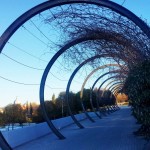 ruta-madrid-quinqui-parque-03