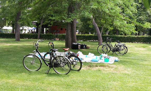 1.-bicipicnic
