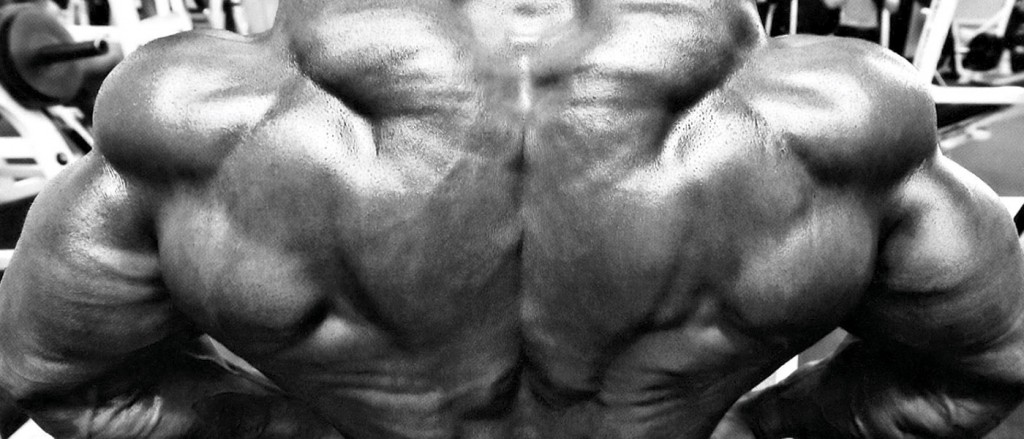 gym apertura
