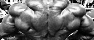gym apertura