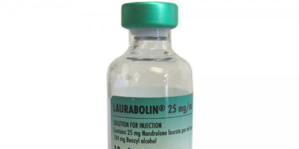 LAURABOLIN: Apareció en 1960 y, aunque tuvo un recorrido como medicamento para humanos, pronto se abandonó la producción a favor de la veterinaria. El Laurabolin es administrado en gatos, perros o caballos que presentan síntomas de desnutrición. Al estar compuesto por un derivado de la nandrolona se usa, ilegalmente, para engordar ganado. EL efecto en el cuerpo humano es un aumento considerable del tejido muscular.
